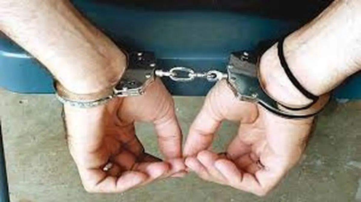 زورگیر ولنجک هنگام سرقت از یک شهروند دستگیر شد