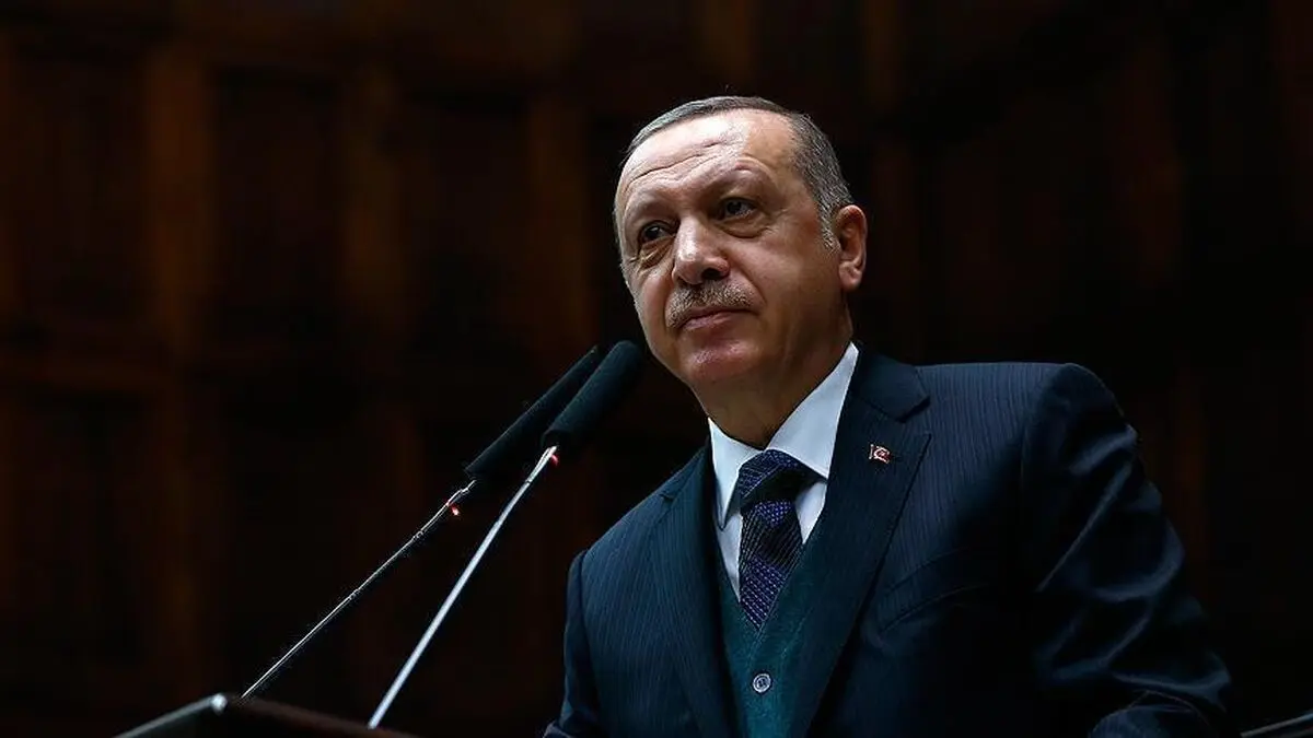 اردوغان: ۸۰ عضو سازمان گولن به ترکیه بازگردانده شدند