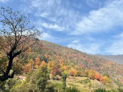 وزش باد گرم و افزایش دمای هوا در گیلان