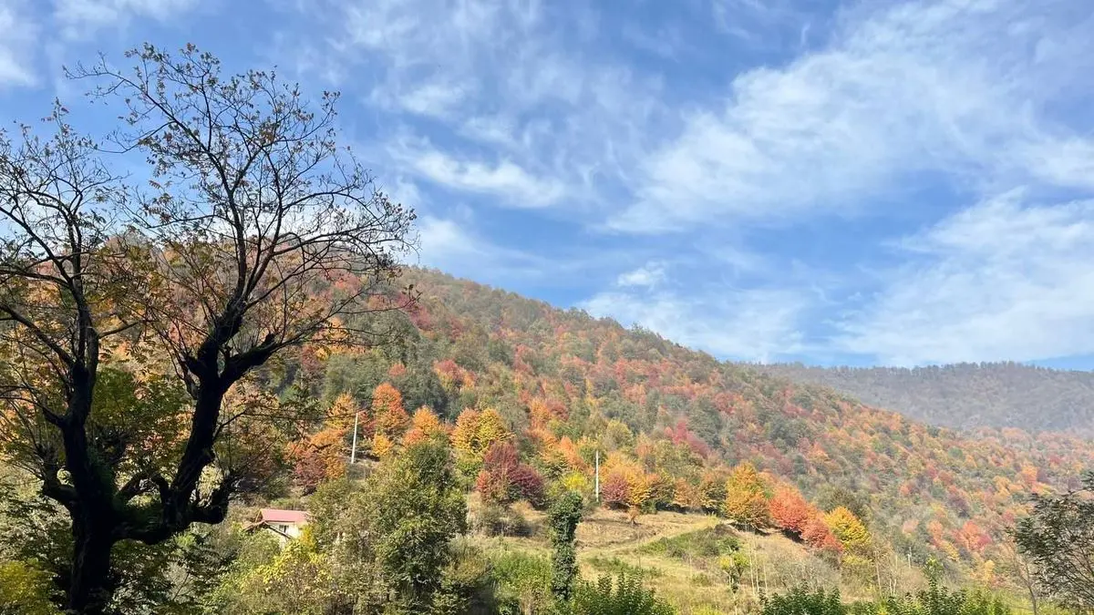 وزش باد گرم و افزایش دمای هوا در گیلان