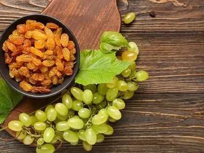 Buying High-Quality Raisins at an Exceptional Price from Tida Saffron