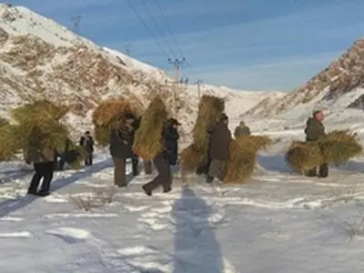 تغذیه دستی حیوانات در پناهگاه حیات وحش کیامکی جلفا