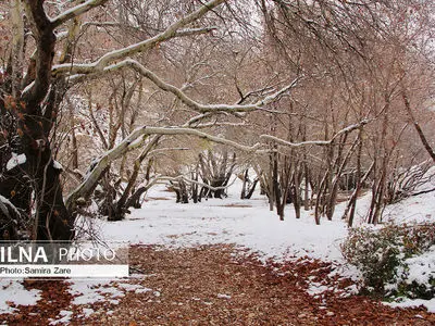 طبیعت برفی روستای قلات