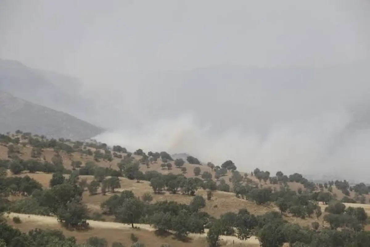 کاهش ۸۵ درصدی حریق در جنگل‌ها و مراتع لرستان