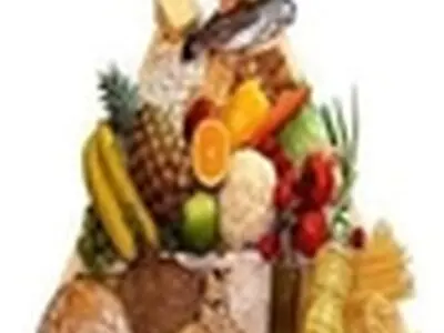 ضرورت ایجاد فرصت‌های سرمایه‌گذاری در حوزه غذا و آشامیدنی