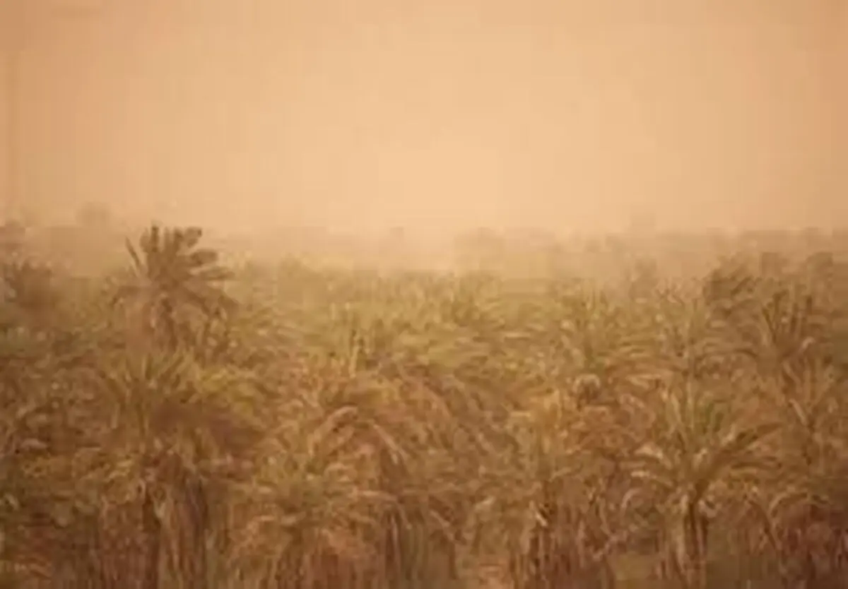 گرد و غبار دید افقی را در قصرشیرین کاهش داد