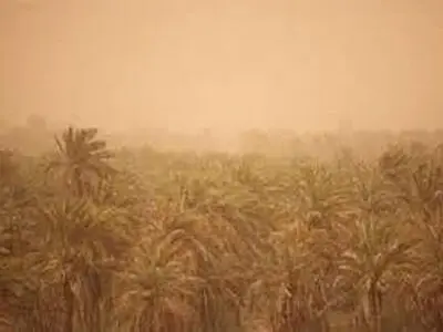 گرد و غبار دید افقی را در قصرشیرین کاهش داد