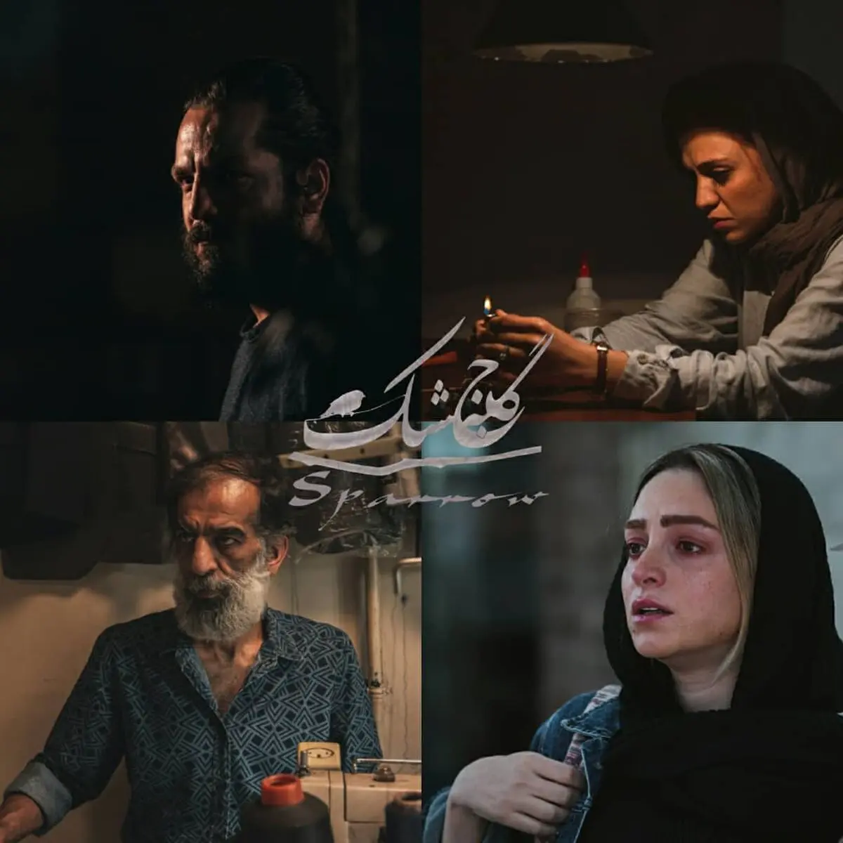تدوین «گنجشک» به پایان رسید/ آغاز ساخت موسیقی و صداگذاری