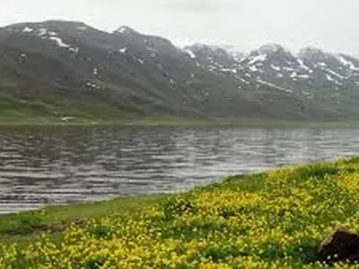 حفاظت از تالاب نئور بر پایه الگوی مشارکت است 