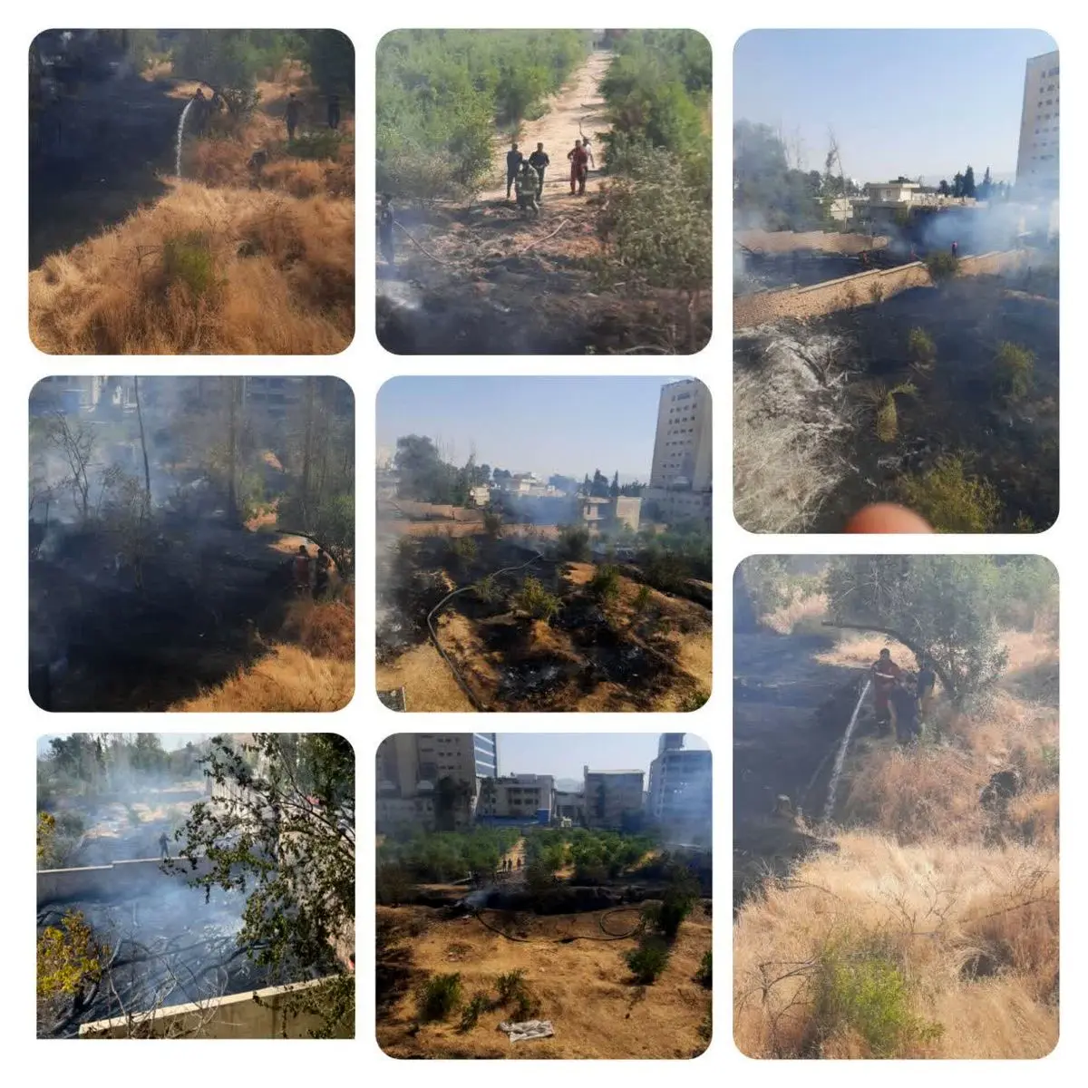 مهار آتش‌سوزی باغ در بلوار چمران شیراز 
