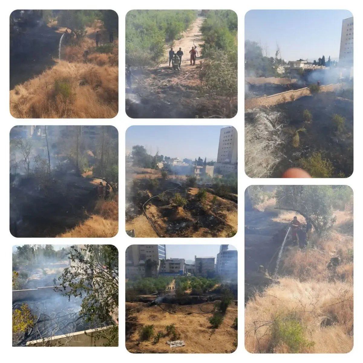 مهار آتش‌سوزی باغ در بلوار چمران شیراز 