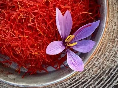 توقف تهریب الزعفران الایرانی بفضل کورونا