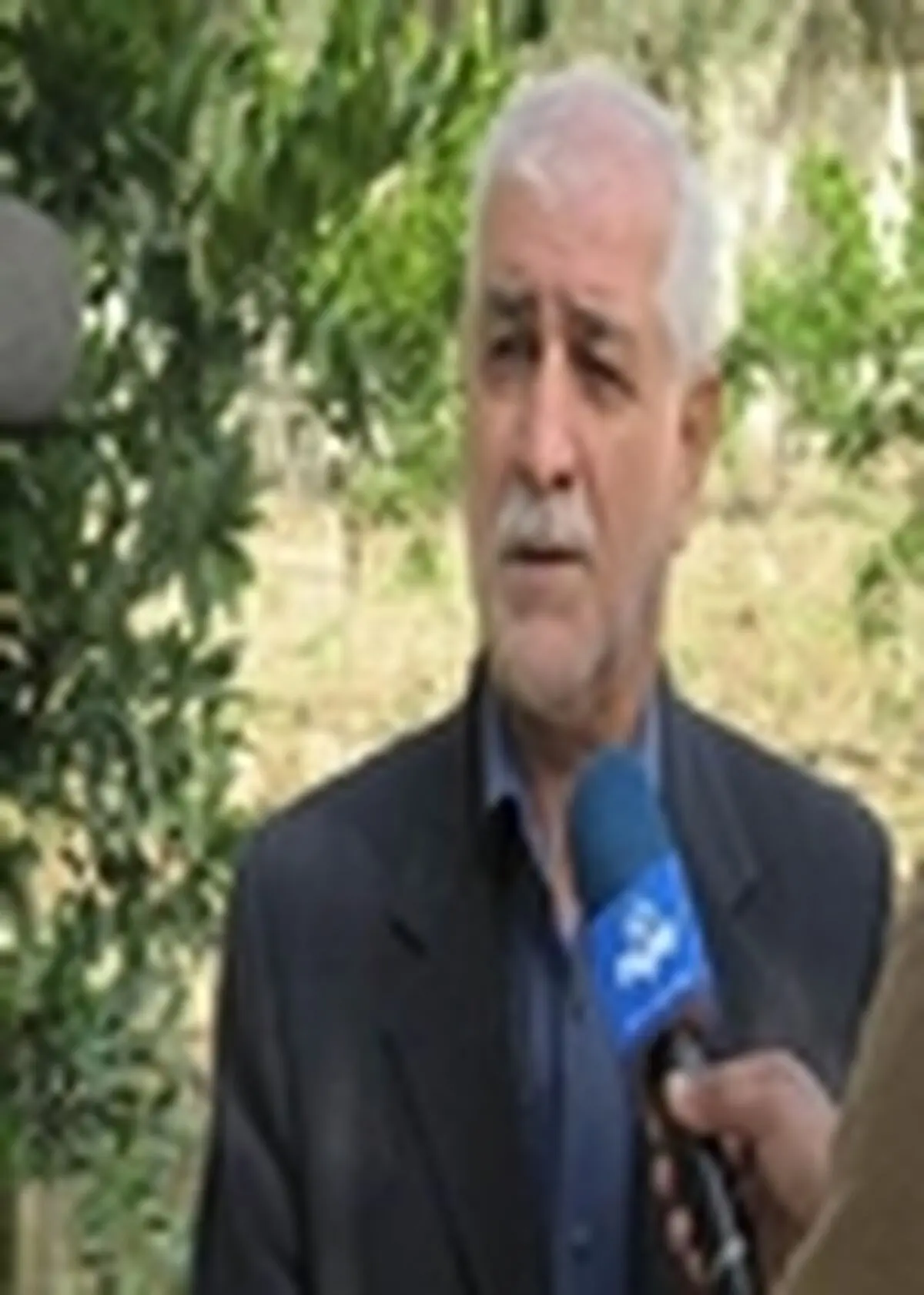 خرید و ذخیره سازی ۴۱ هزار و ۵۰۰ تن پرتقال در مازندران برای سال جاری