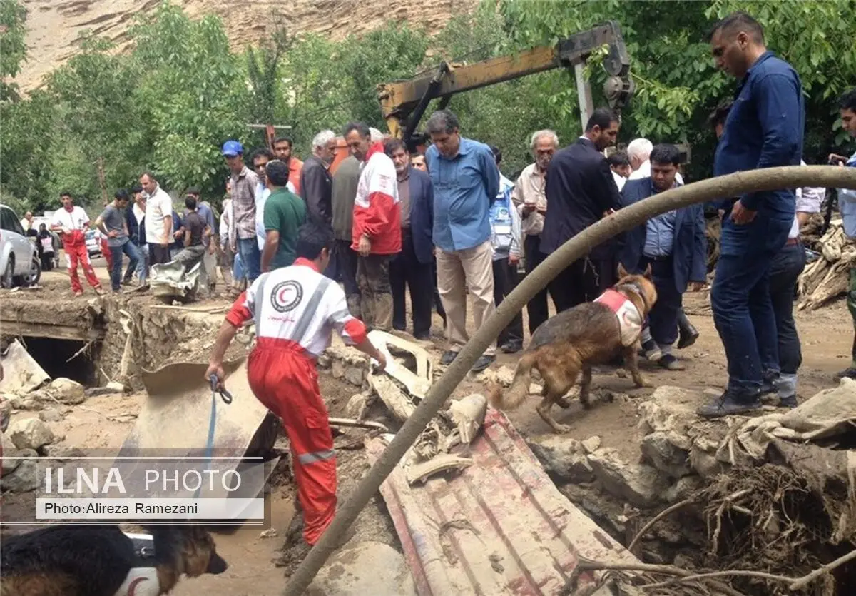 اسامی ۶ نفر از کشته‌شدگان سیلاب اخیر تهران اعلام شد