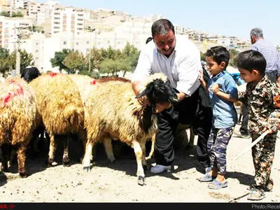رشد ۲۰ درصدی گوسفند و بز موجود در دامداری‌ها نسبت به مهر امسال