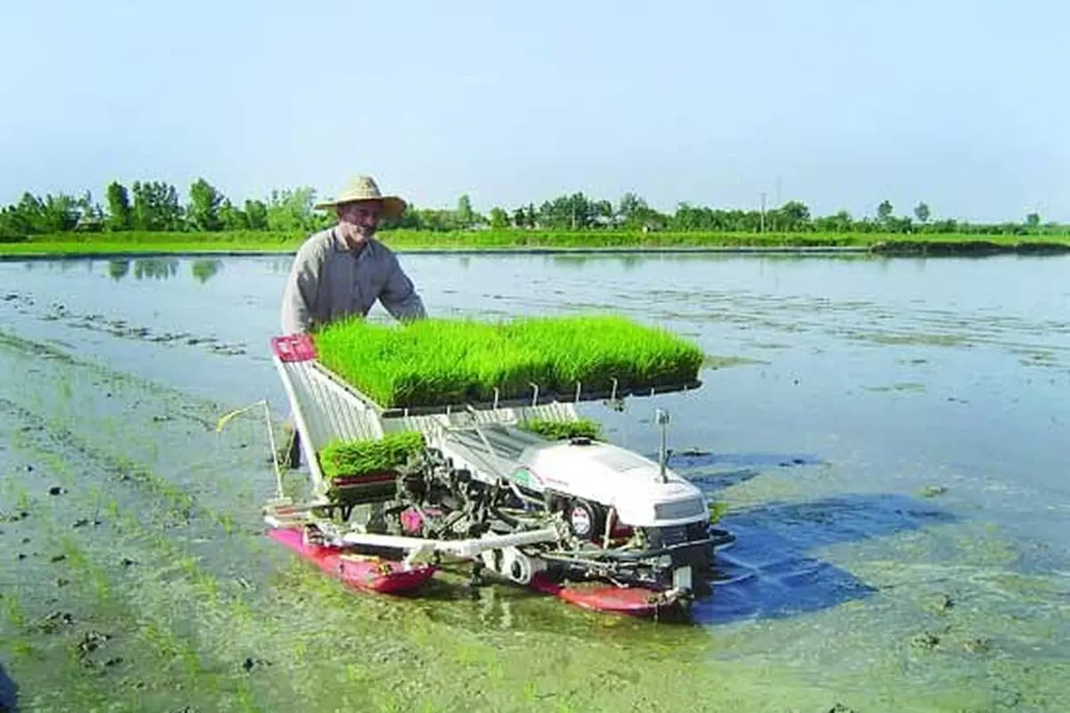 کشت مکانیزه برنج در فومن آغاز شد