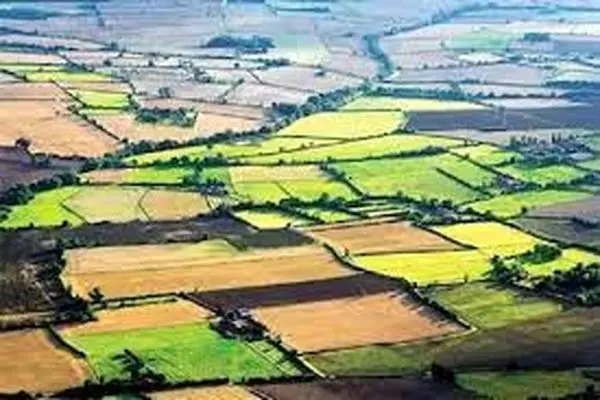 حدنگاری بیش از ۶ میلیون هکتار از اراضی کشاورزی در کشور