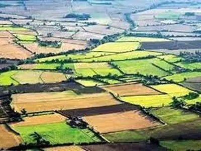 حدنگاری بیش از ۶ میلیون هکتار از اراضی کشاورزی در کشور