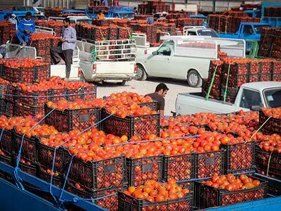 کشف 690 هزار نخ سیگار قاچاق در بار گوجه فرنگی