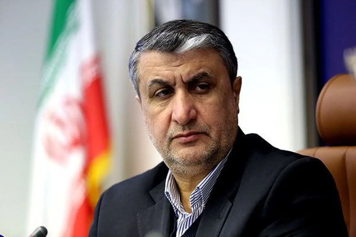 AEOI Chief: Iran has no hidden nuclear activities