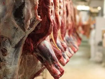 فرآیند توزیع گوشت قرمز در استان نیازمند اصلاح است