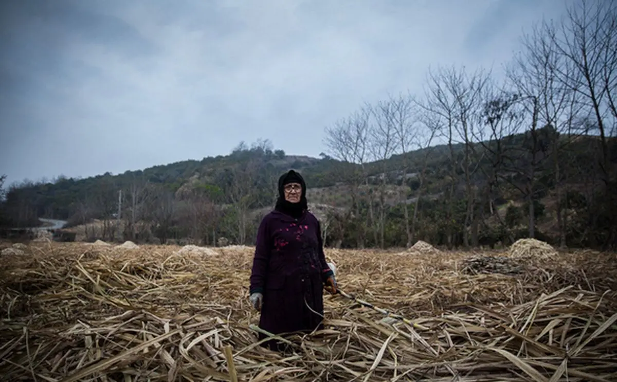 متناسب‌سازیِ کار با دستمزد و ارتقای شرایط اشتغال زنان کارگر عزم جزم می‌خواهد