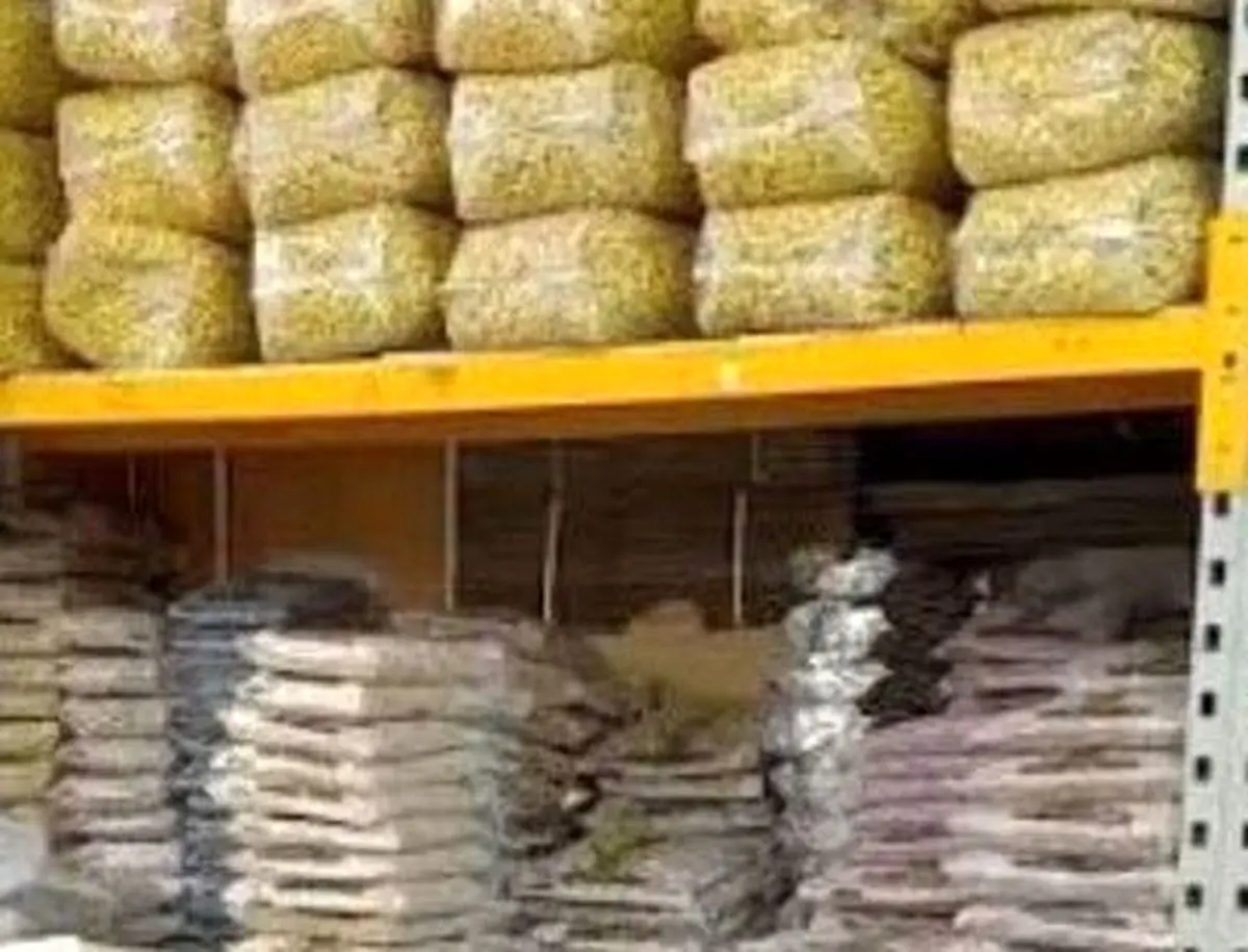 کشف انبار خشکبار احتکار شده در بندر انزلی