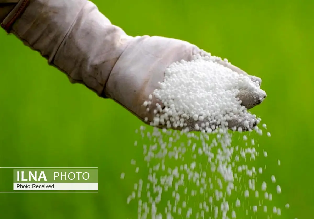 توزیع بیش از 28 هزار تن کود شیمیایی بین کشاورزان قزوین