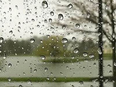 رگبار باران، وزش باد و خیزش گرد و خاک در استان‌های مختلف در روز طبیعت 