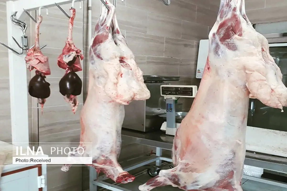 شناسایی ۳  واحد قصابی متخلف در قزوین 