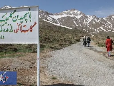 چرایی رفتار ایرانیان با لاله های واژگون و خاک هرمز/ واژگون تر از لاله ها شده ایم