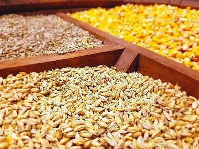 سامانه بازارگاه بستر فساد شد/ فروش نهاده‌های دامی به مرغداران با دو برابر قیمت 