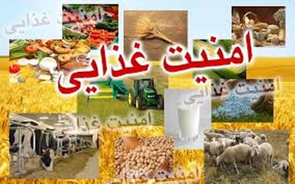افزایش دسترسی خانوارها به مواد غذایی کافی