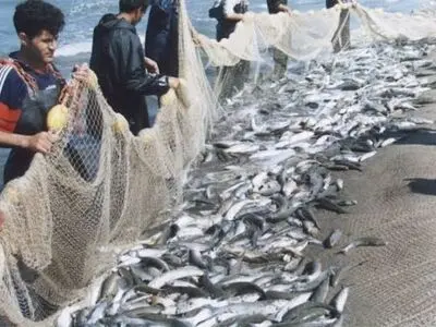 ١۵ مهرماه، آغاز فصل صید ماهیان استخوانی در مازندران