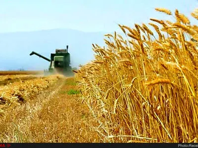 ۱۳ میلیارد تومان کرایه حمل به گندمکاران کشور پرداخت شد