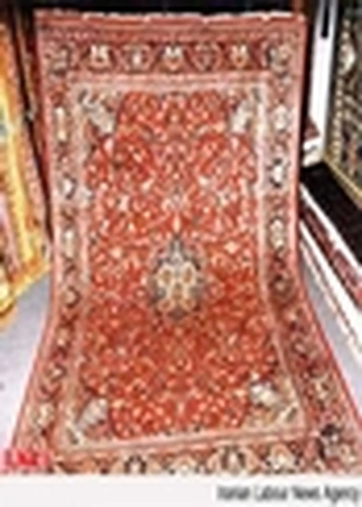 اولین نمایشگاه فرش دستباف، تابلو فرش و صنایع دستی ایران آغاز بکار کرد