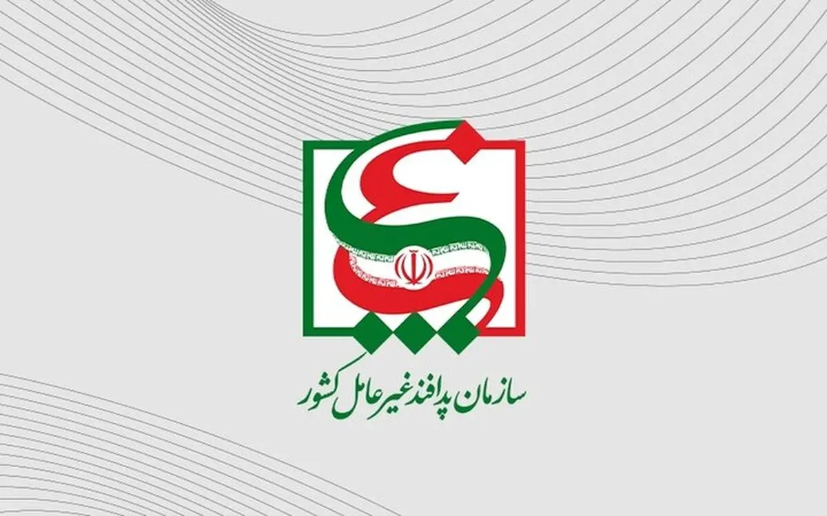 تصویب ۲ دستورالعمل کلیدی در حوزه آموزش همگانی و پناهگاه‌ها