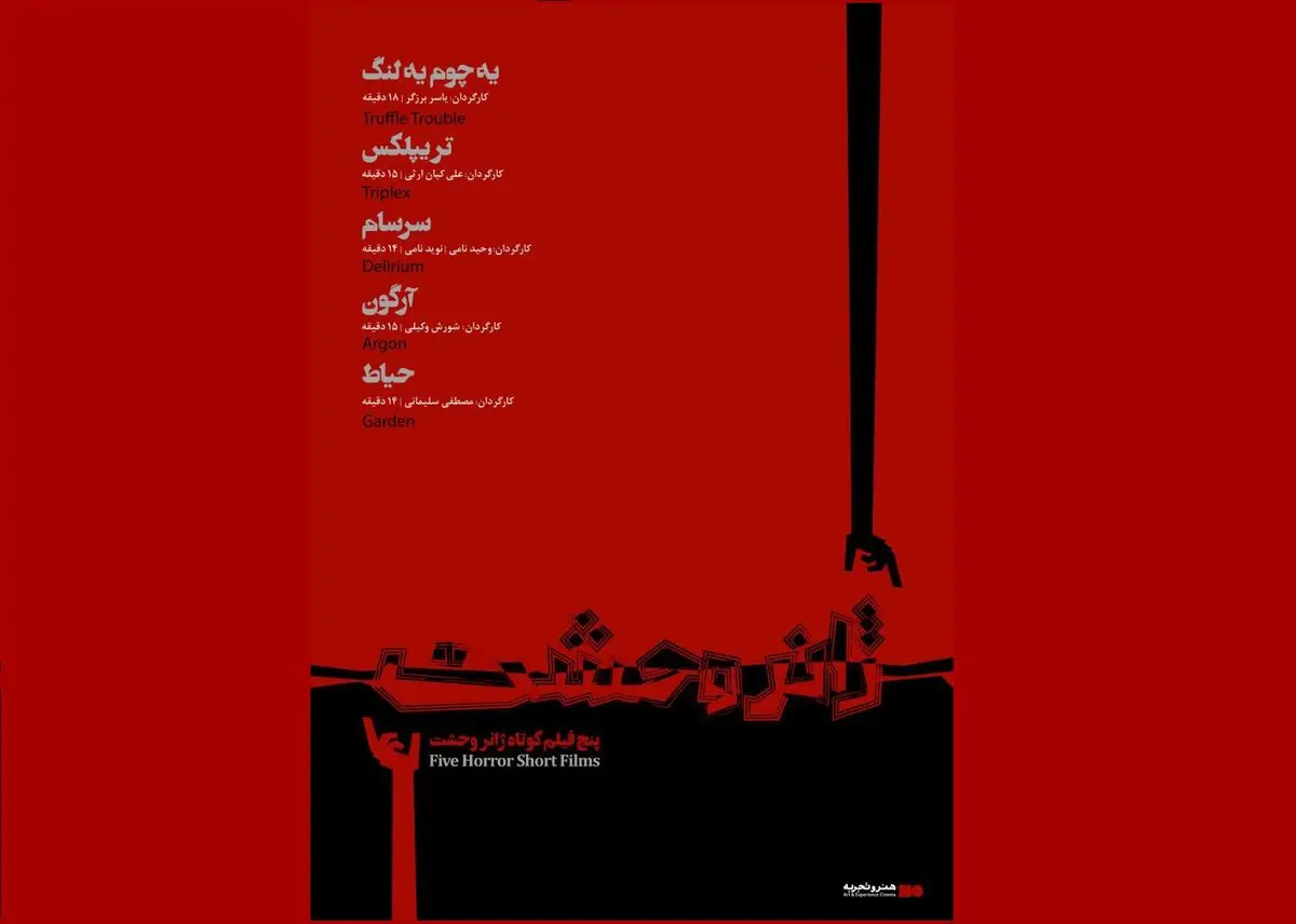اکران فیلم‌های کوتاه باید مستمر باشد/ ادبیات ما مملو از مولفه‌های مورد استفاده در سینمای ترسناک است/ ریسک بالای ساخت فیلم ترسناک برای سرمایه‌گذارها