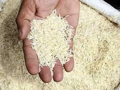 قیمت انواع برنج وارداتی