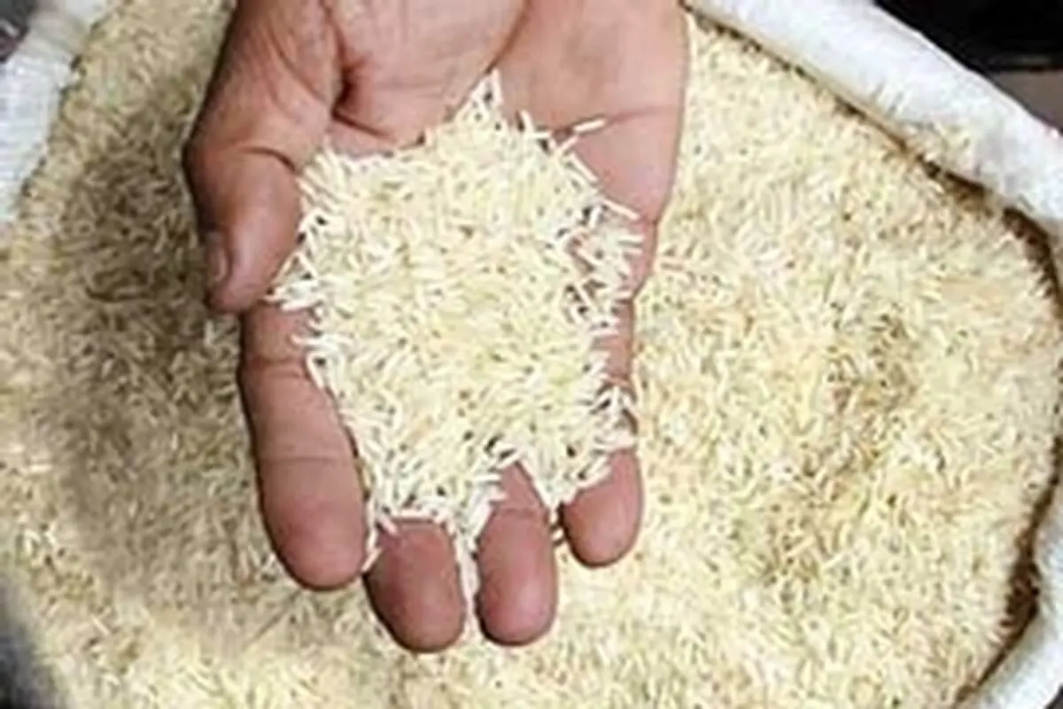 قیمت انواع برنج وارداتی