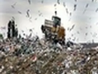 ساماندهی پسماند در گیلان، نیازمند احداثنیروگاه زباله‌سوز است