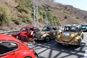 فولکس های رنگی دوباره در جاده چالوس
