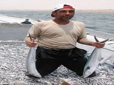 برداشت ماهیان گرمابی در استان کرمانشاه آغاز شد