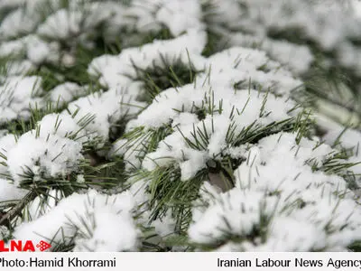 دمای 7 استان کشور زیر صفر است