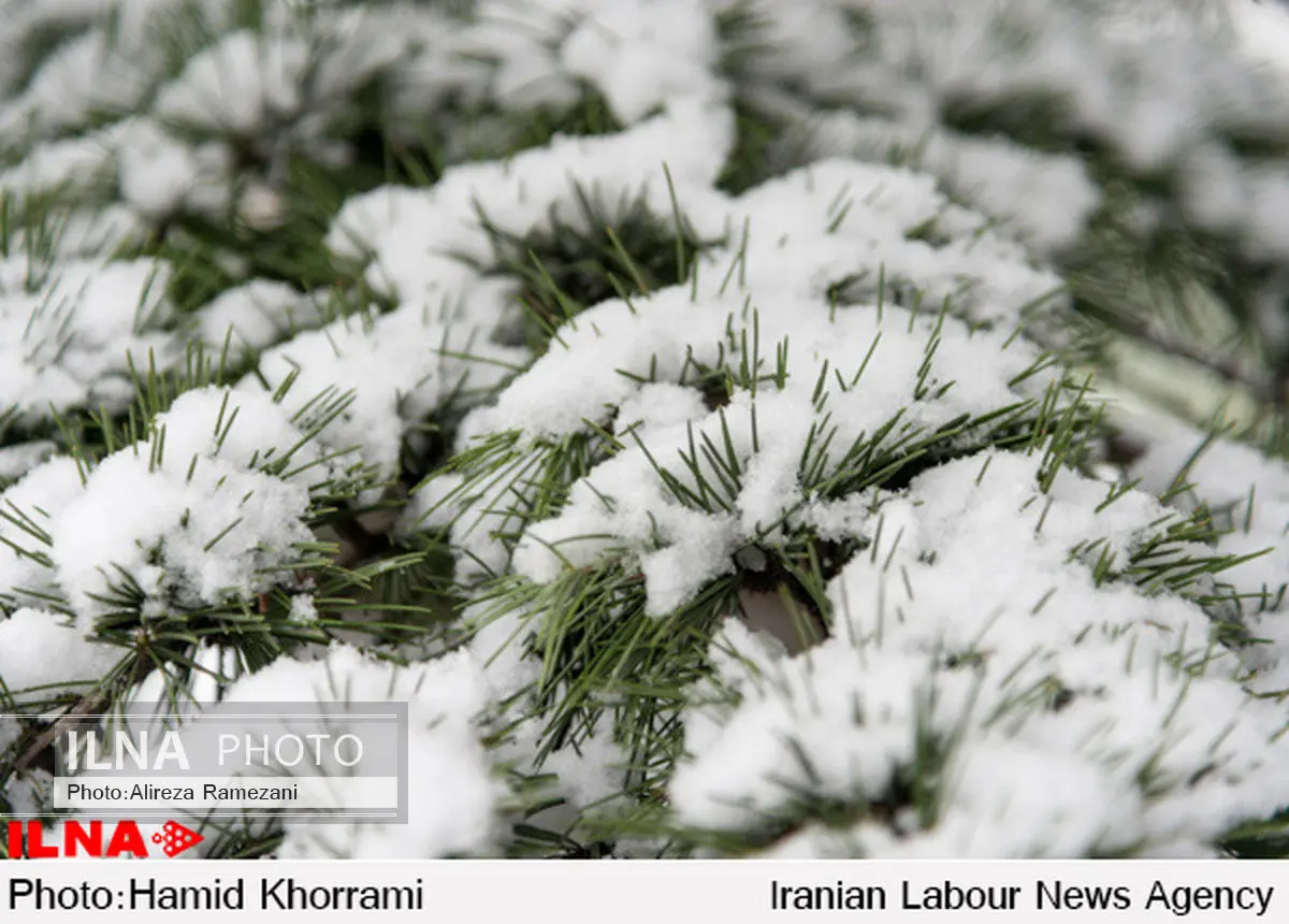 دمای 7 استان کشور زیر صفر است