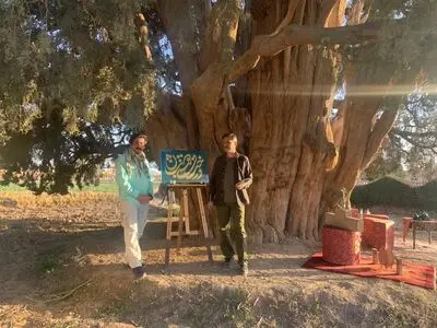 نگاهی به جایگاه «درخت» در ادبیات و هنر در ویژه‌برنامه «دار دو»