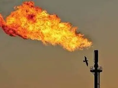 فرآورش بیش از ١٥١ میلیارد مترمکعب گاز در ١١ ماه امسال 