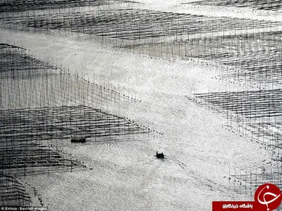 نخستین رودخانه آلوده شناخته شده در جهان