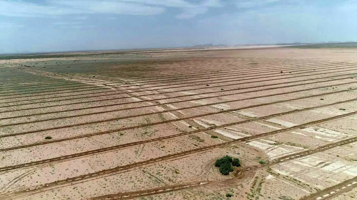 کسب رتبه برتر شهرستان گناباد در عملیات بیابان زدائی