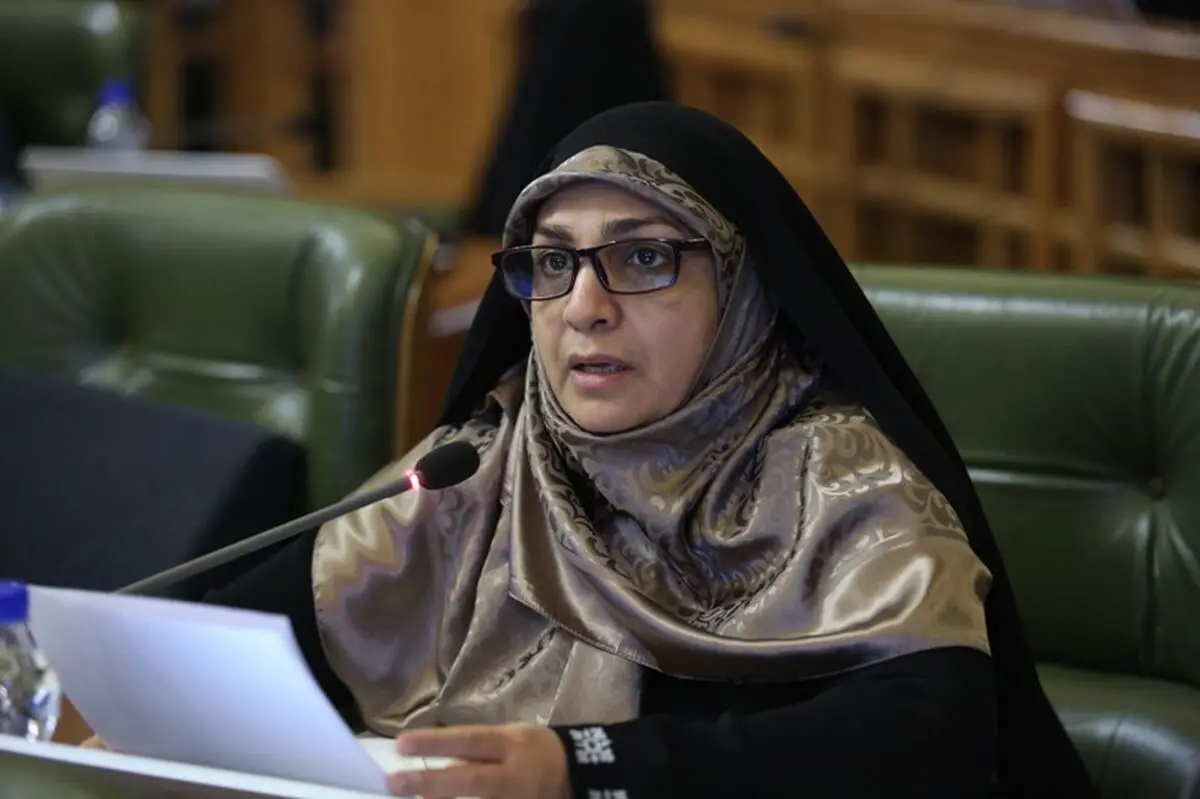 لایحه مدیریت‌شهری فقط یک آرزو است/ لزوم بازنگری ارتباط میان قوانین‌شهری و دولتی
